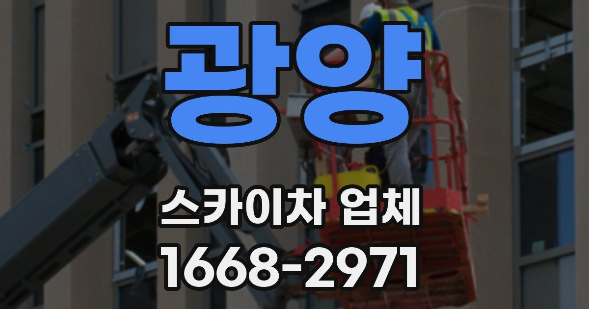 광양 스카이차 업체