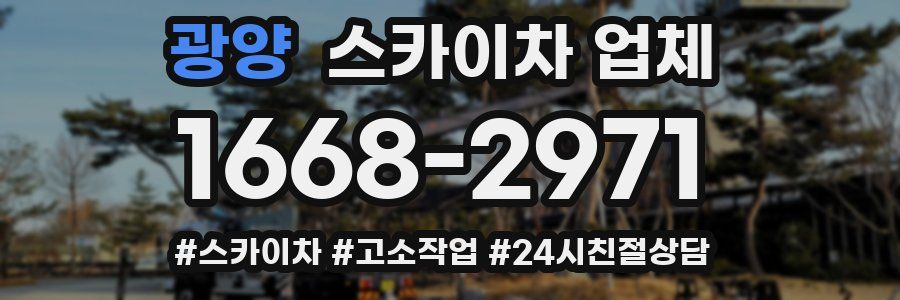 광양 스카이차 업체