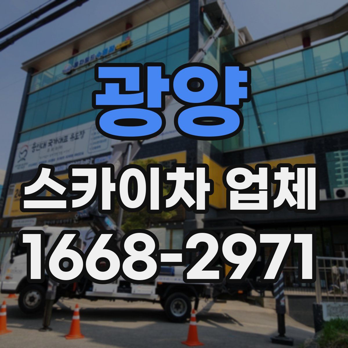 광양 스카이차 업체