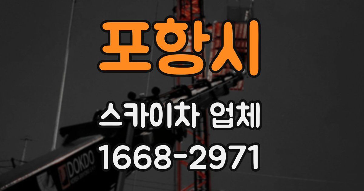 포항시 스카이차 업체