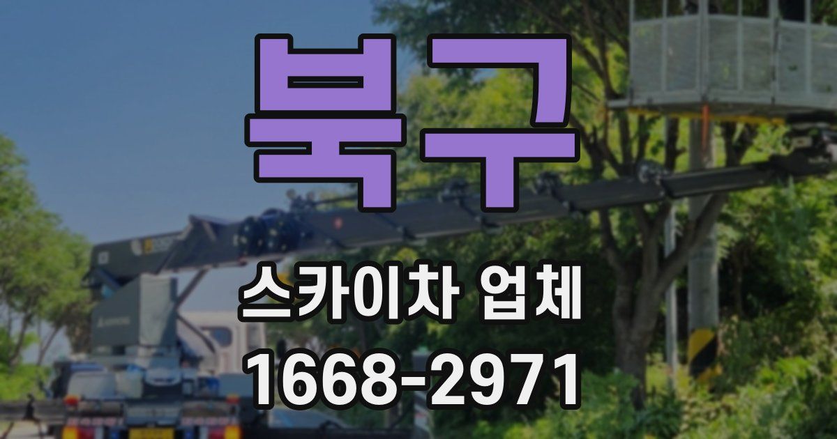 북구 스카이차 업체