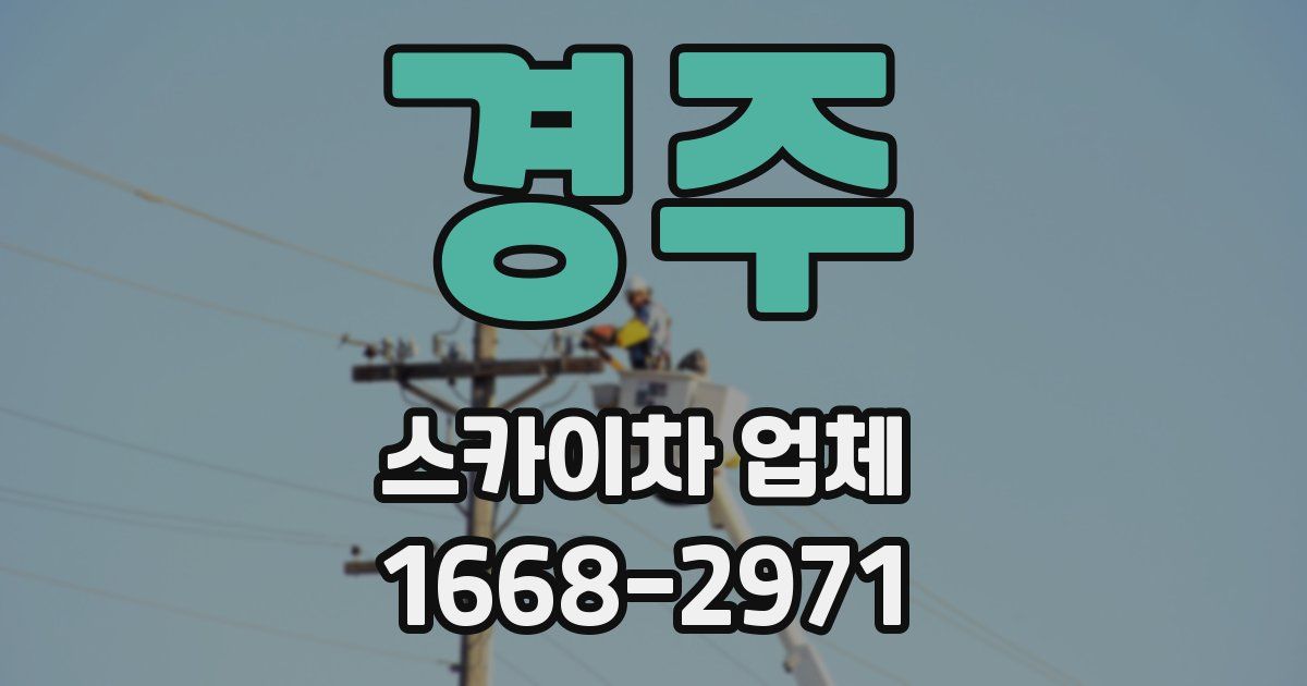 경주 스카이차 업체