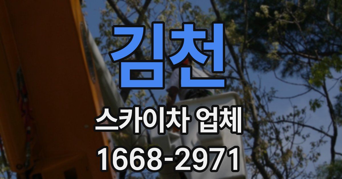 김천 스카이차 업체