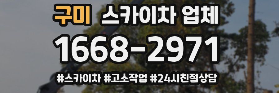 구미 스카이차 업체