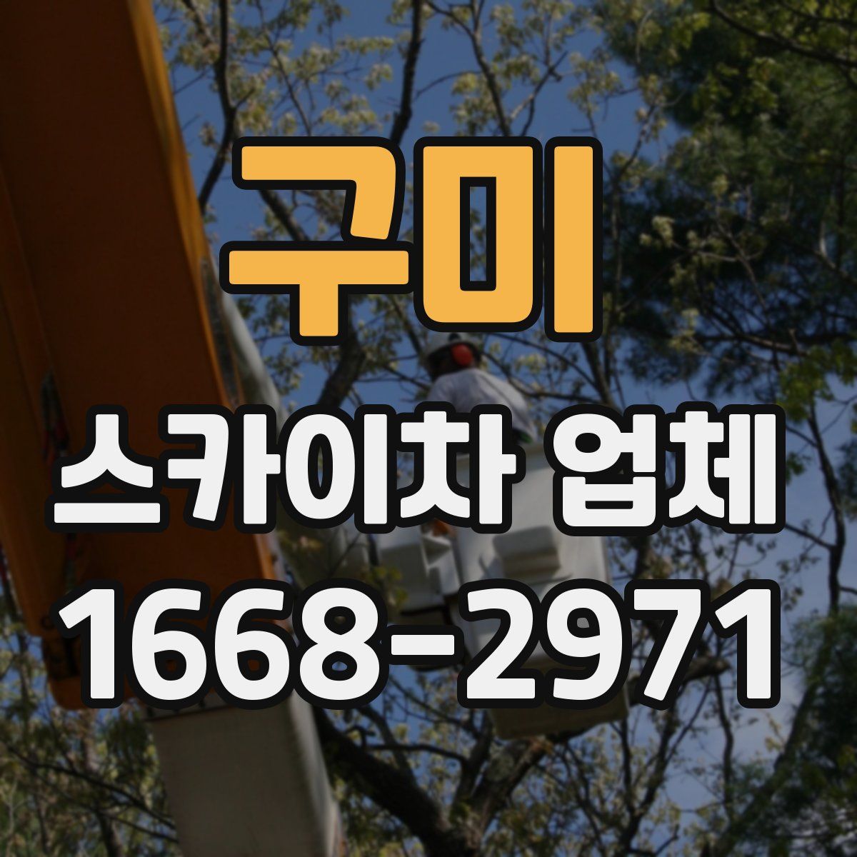 구미 스카이차 업체