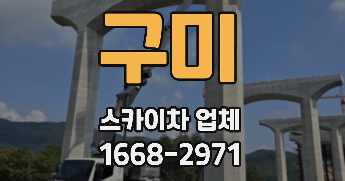 구미 스카이차 업체