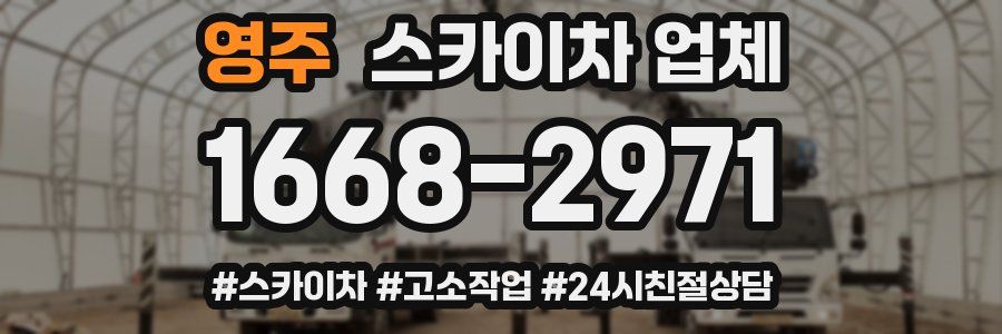 영주 스카이차 업체