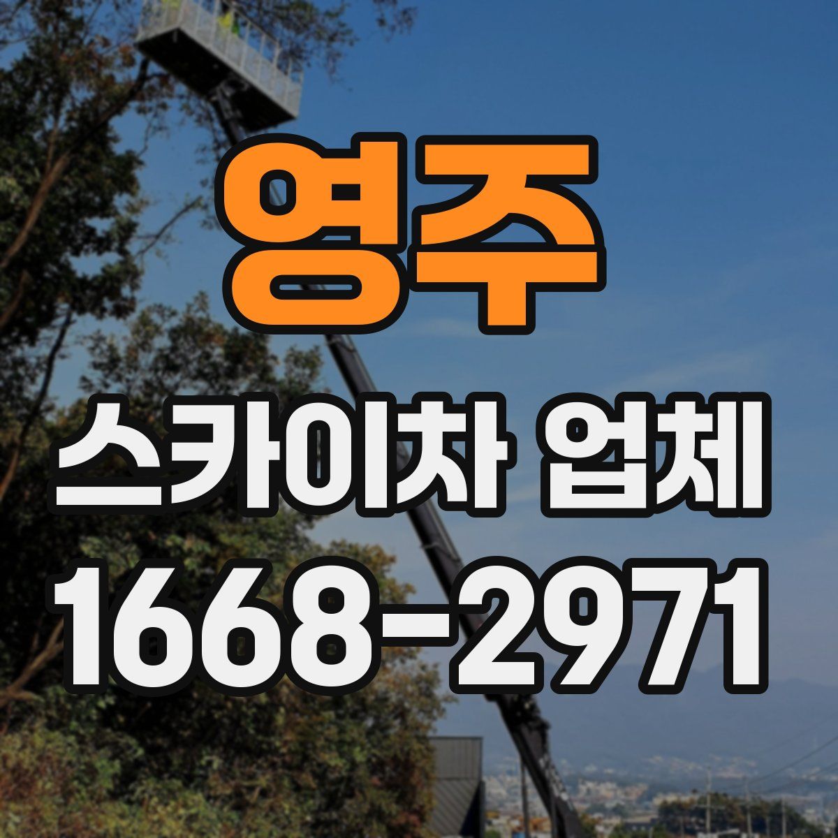 영주 스카이차 업체