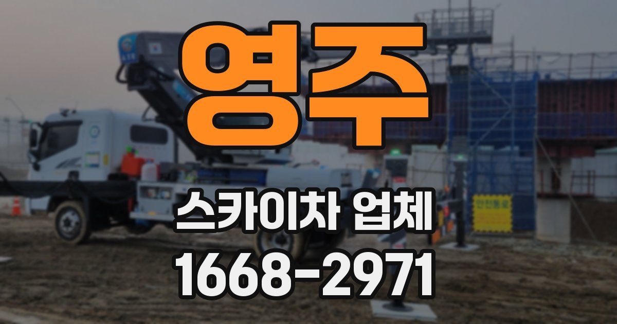 영주 스카이차 업체