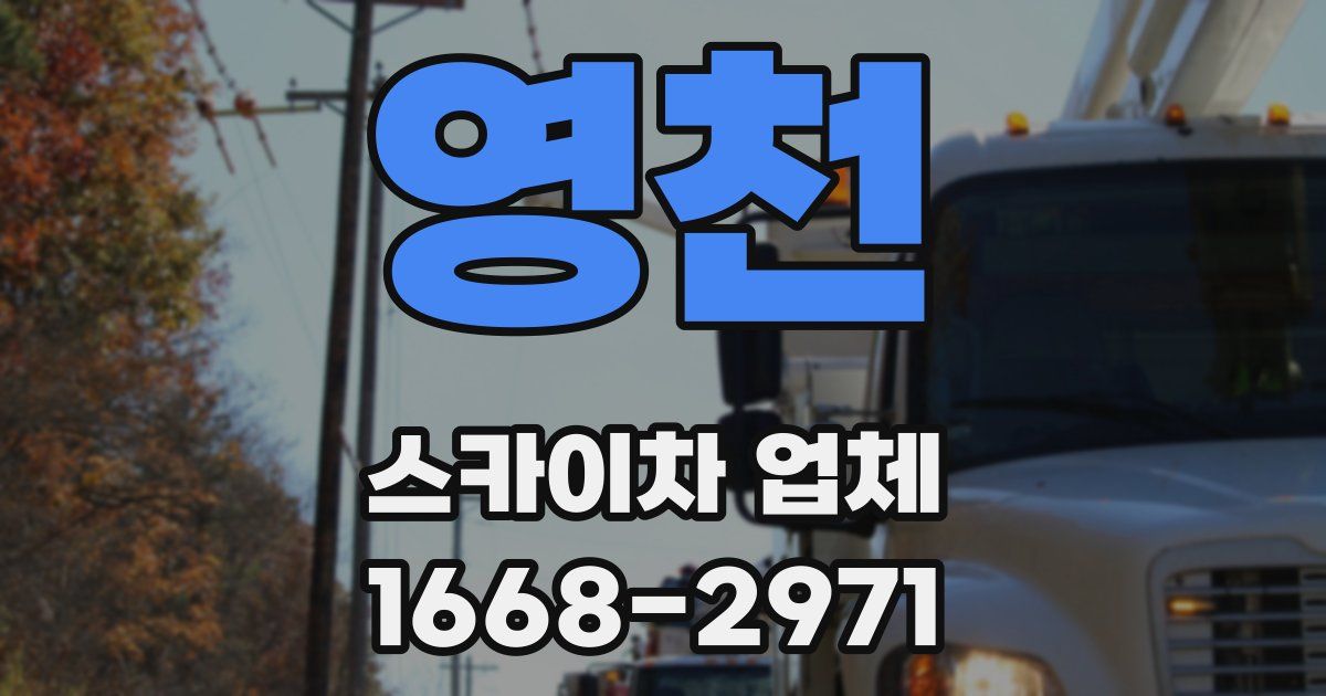 영천 스카이차 업체