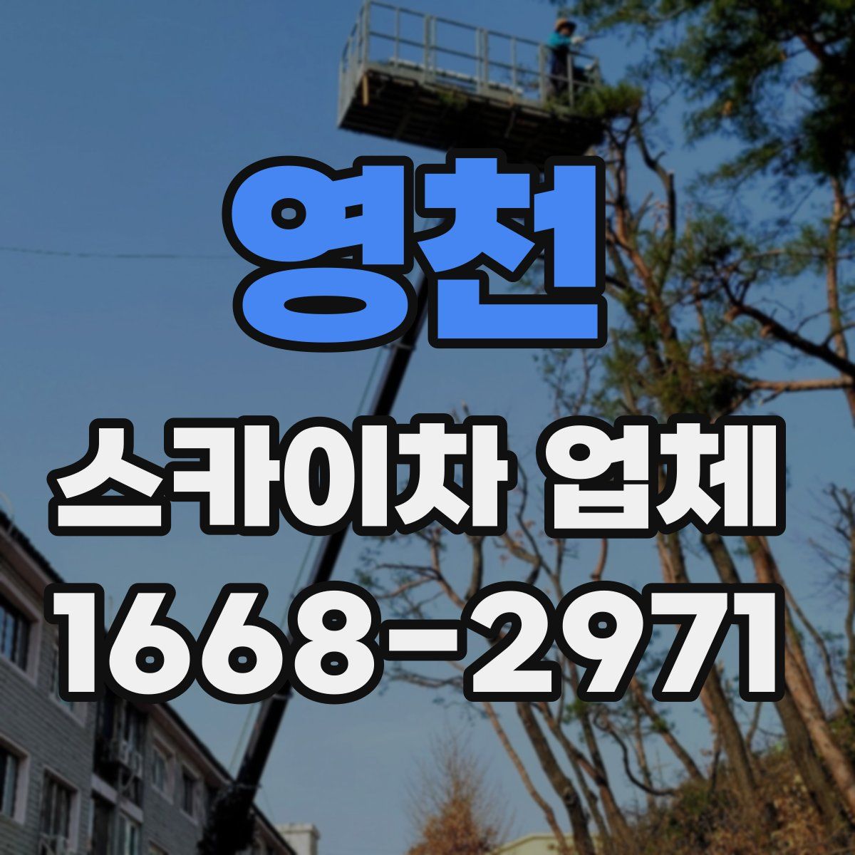 영천 스카이차 업체
