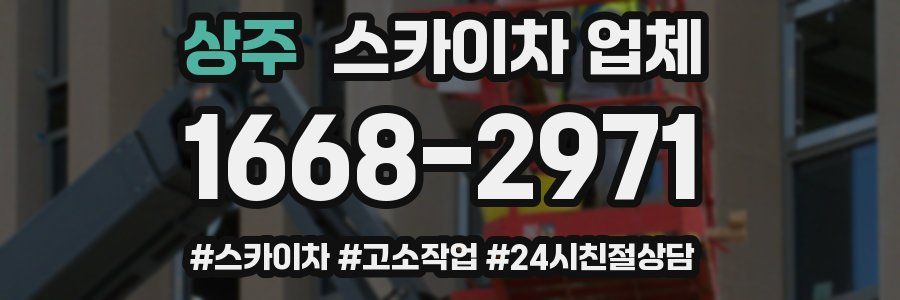 상주 스카이차 업체