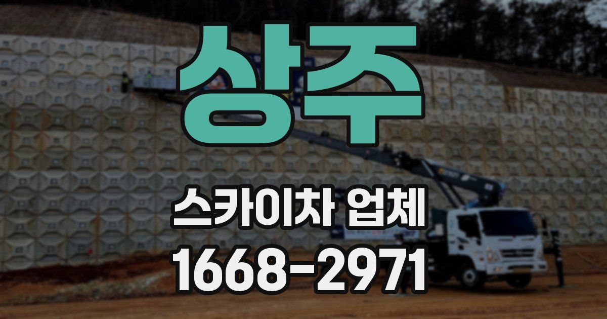 상주 스카이차 업체