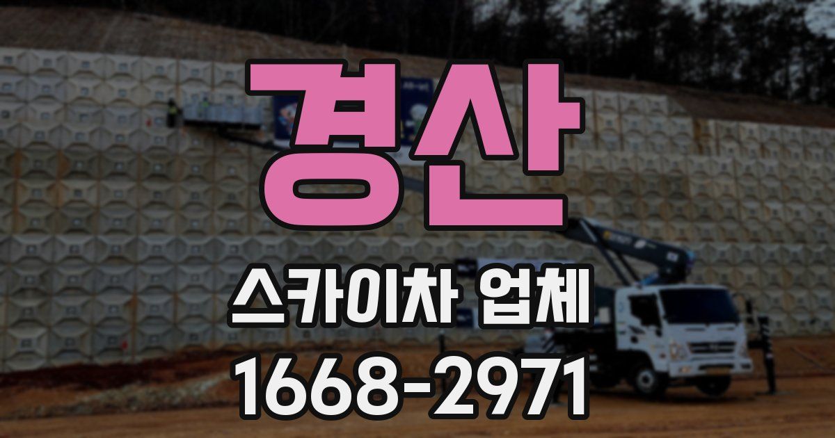 경산 스카이차 업체
