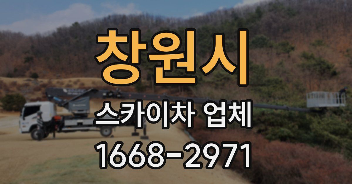 창원시 스카이차 업체