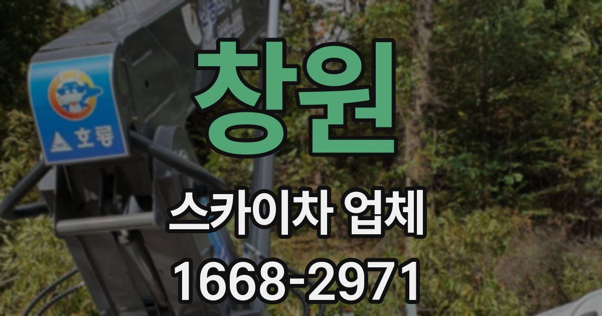 창원 스카이차 업체