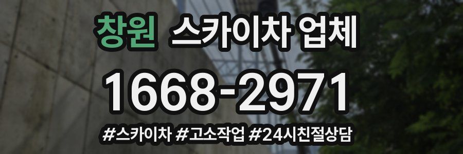 창원 스카이차 업체