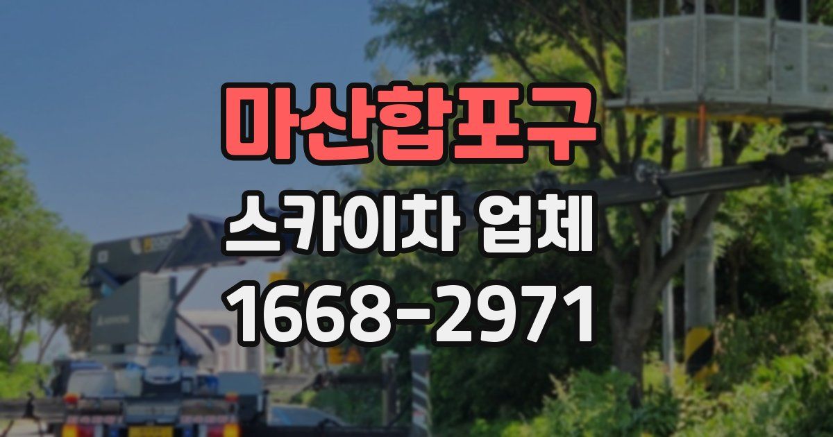 마산합포구 스카이차 업체