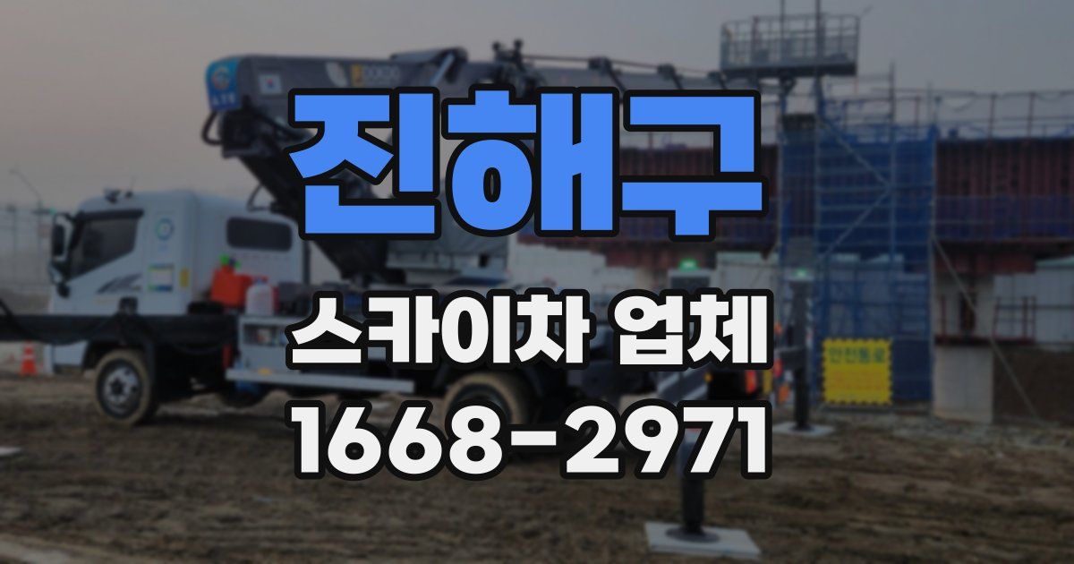 진해구 스카이차 업체