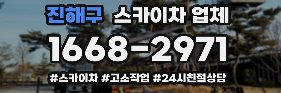진해구 스카이차 업체