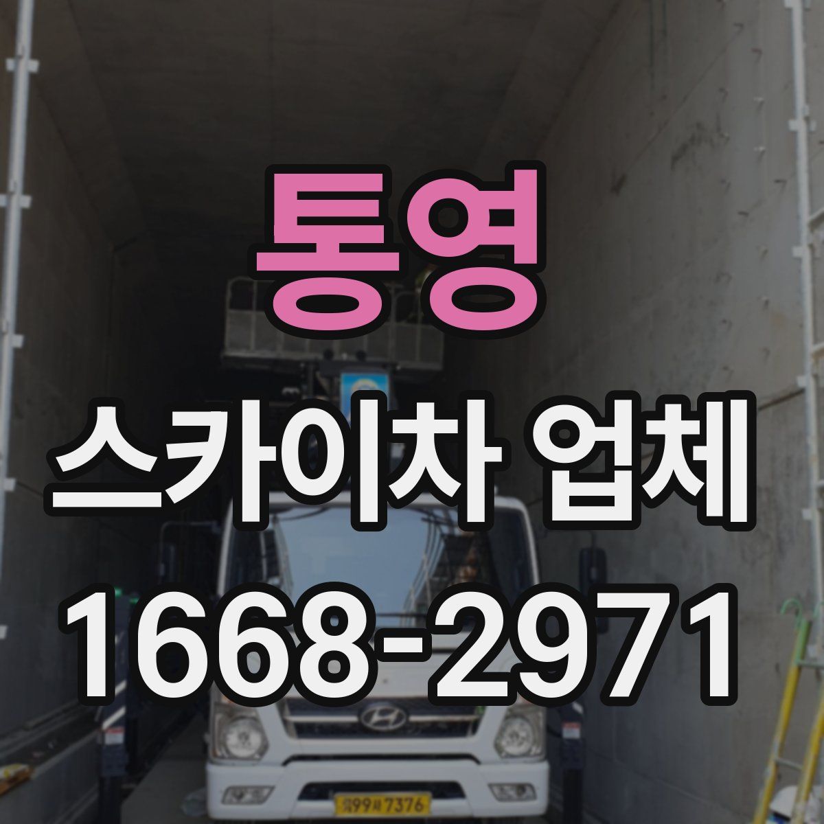 통영 스카이차 업체