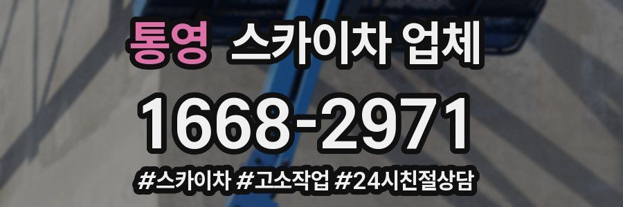 통영 스카이차 업체