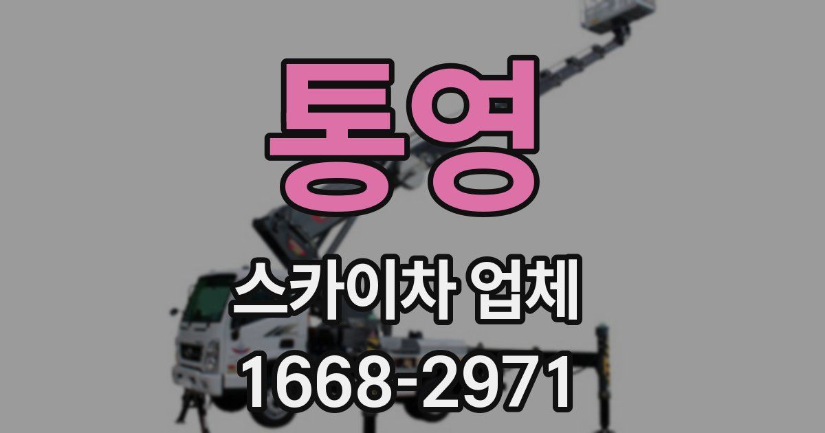 통영 스카이차 업체