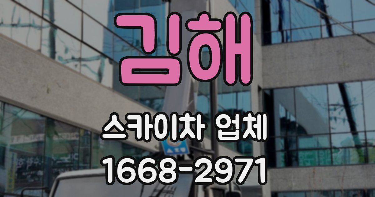 김해 스카이차 업체