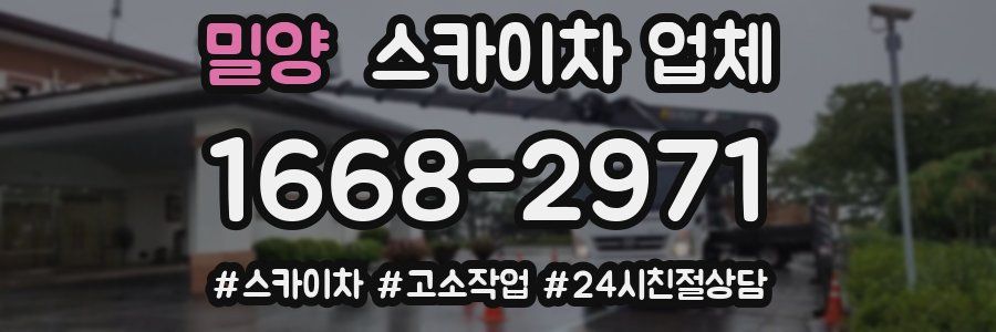 밀양 스카이차 업체