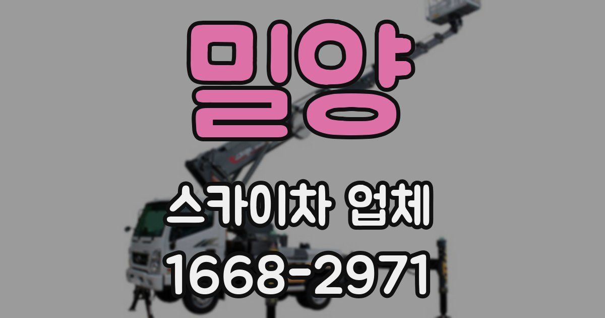 밀양 스카이차 업체