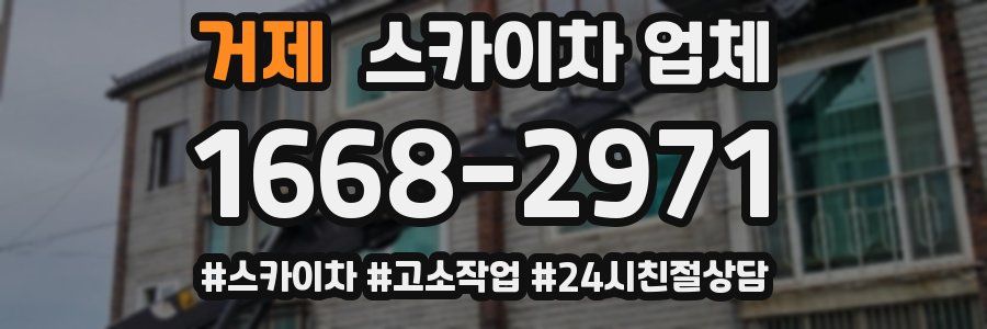 거제 스카이차 업체
