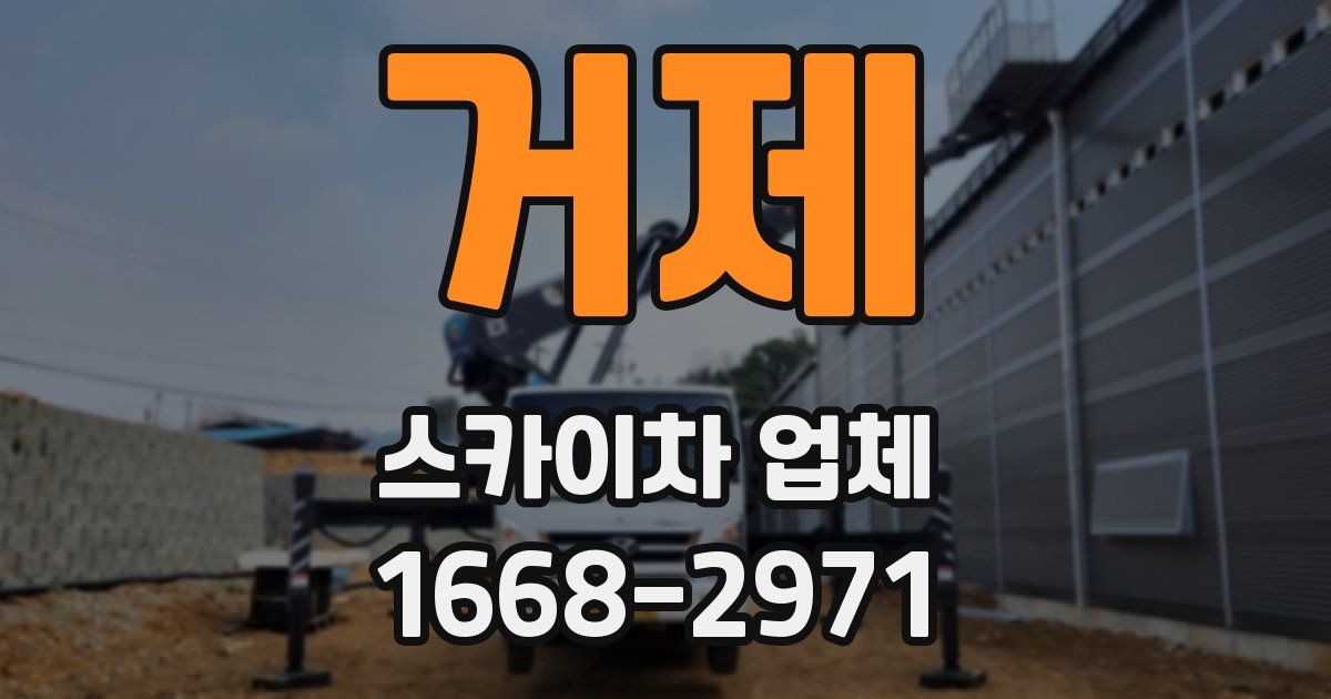 거제 스카이차 업체