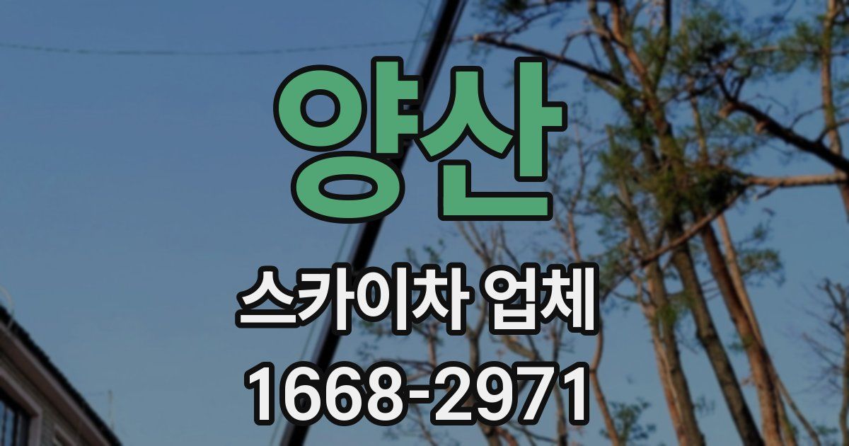 양산 스카이차 업체