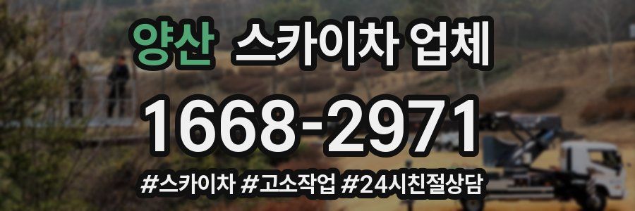 양산 스카이차 업체