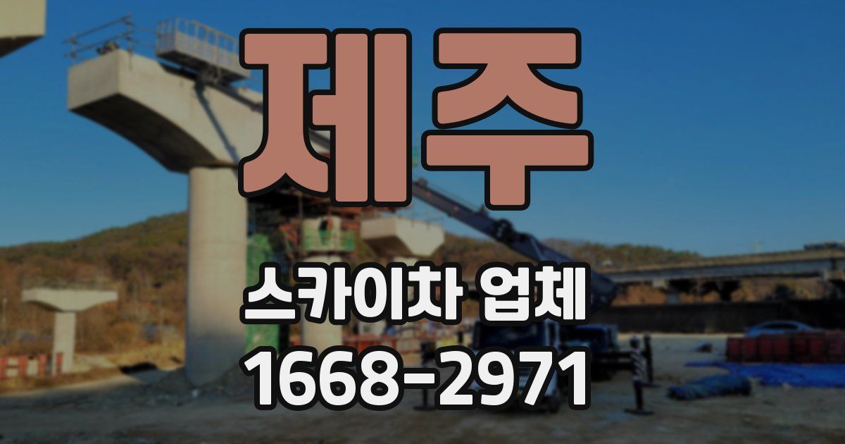 제주 스카이차 업체