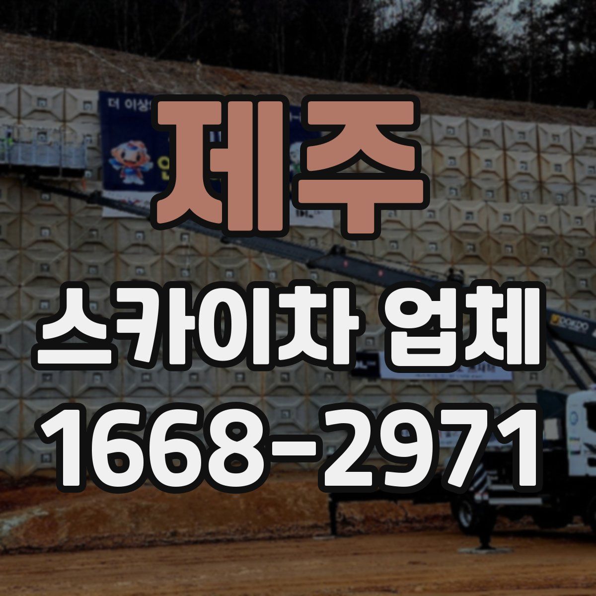 제주 스카이차 업체