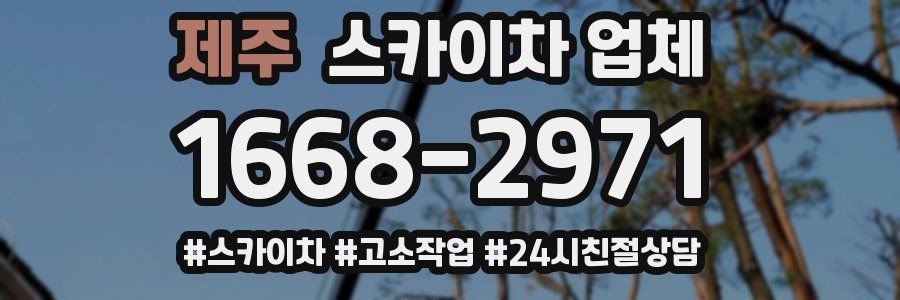 제주 스카이차 업체