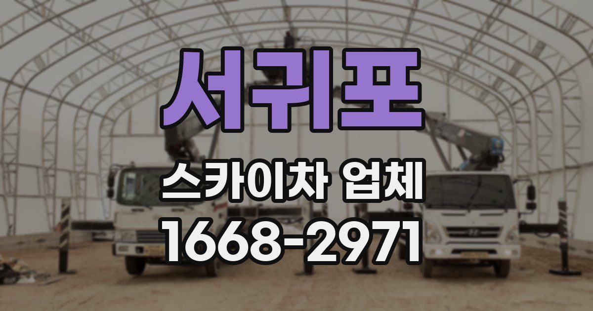 서귀포 스카이차 업체