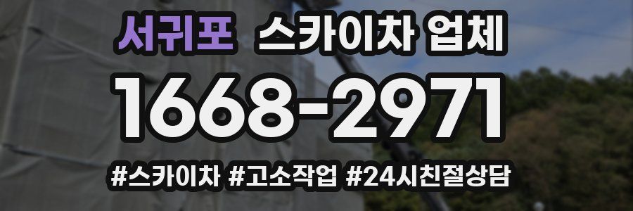 서귀포 스카이차 업체