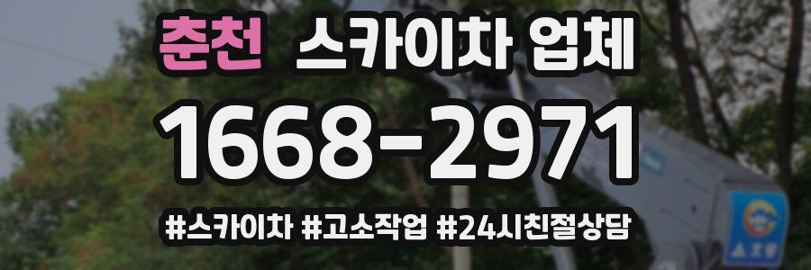 춘천 스카이차 업체