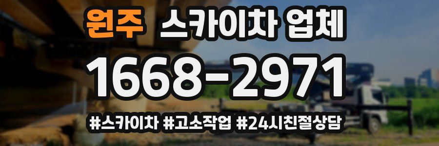 원주 스카이차 업체
