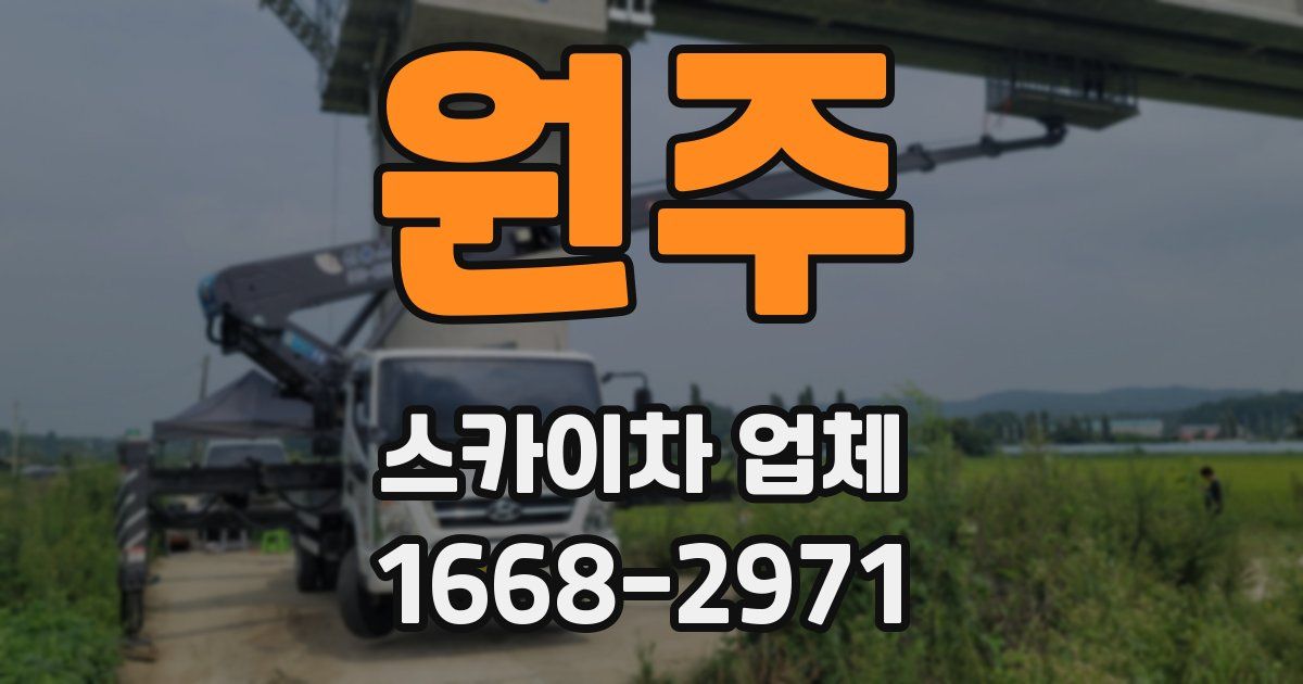 원주 스카이차 업체