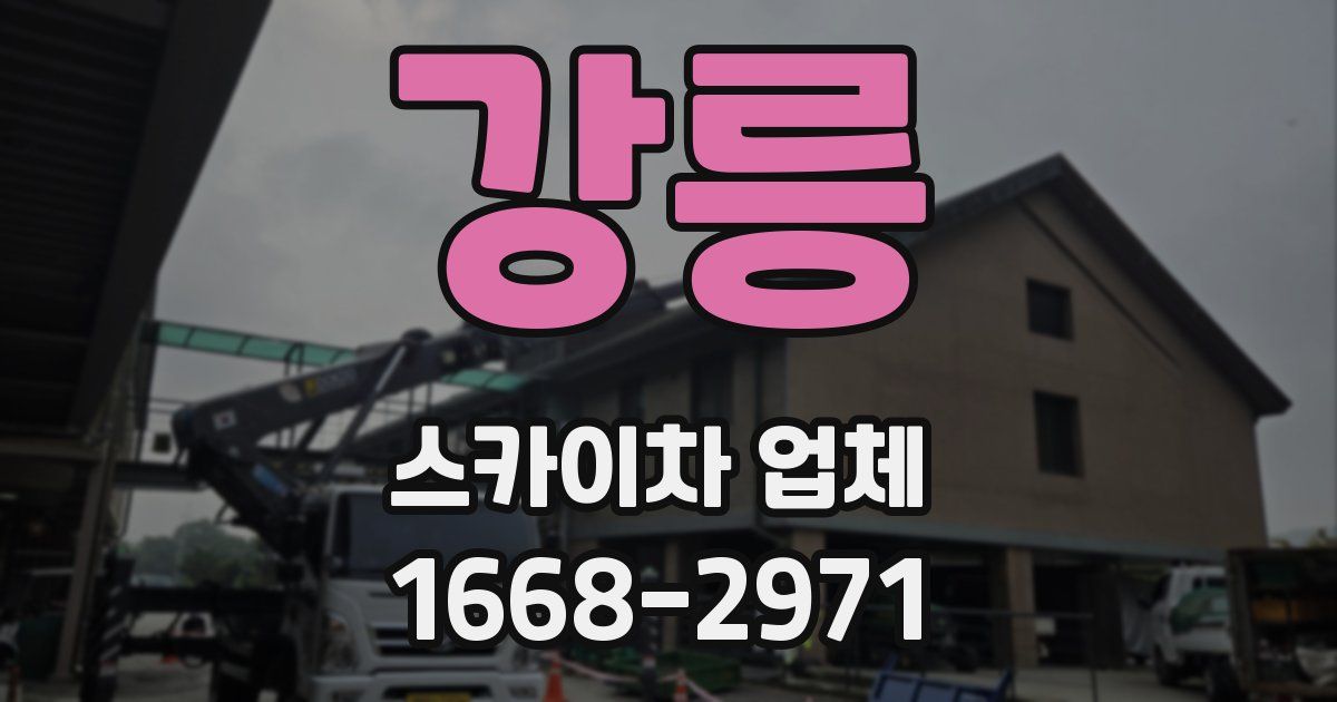 강릉 스카이차 업체