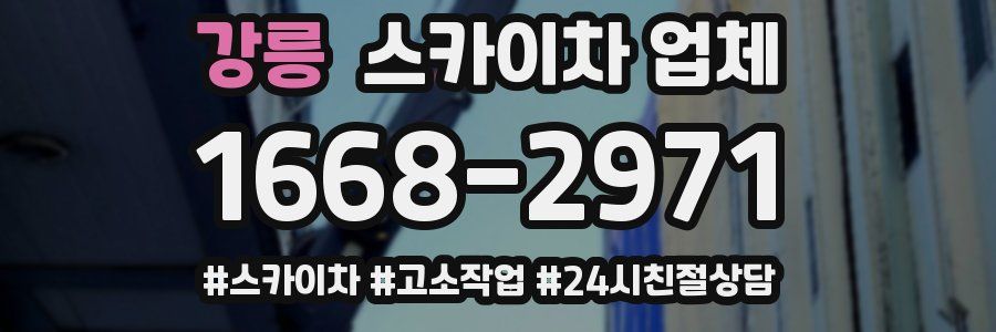 강릉 스카이차 업체