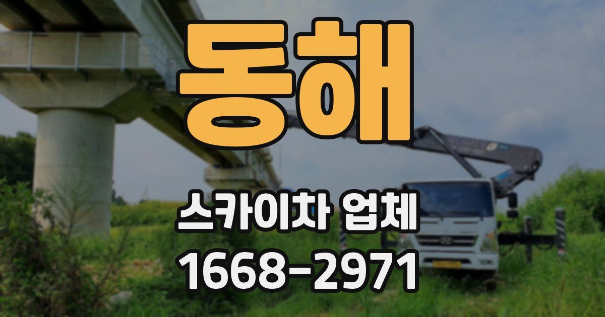 동해 스카이차 업체