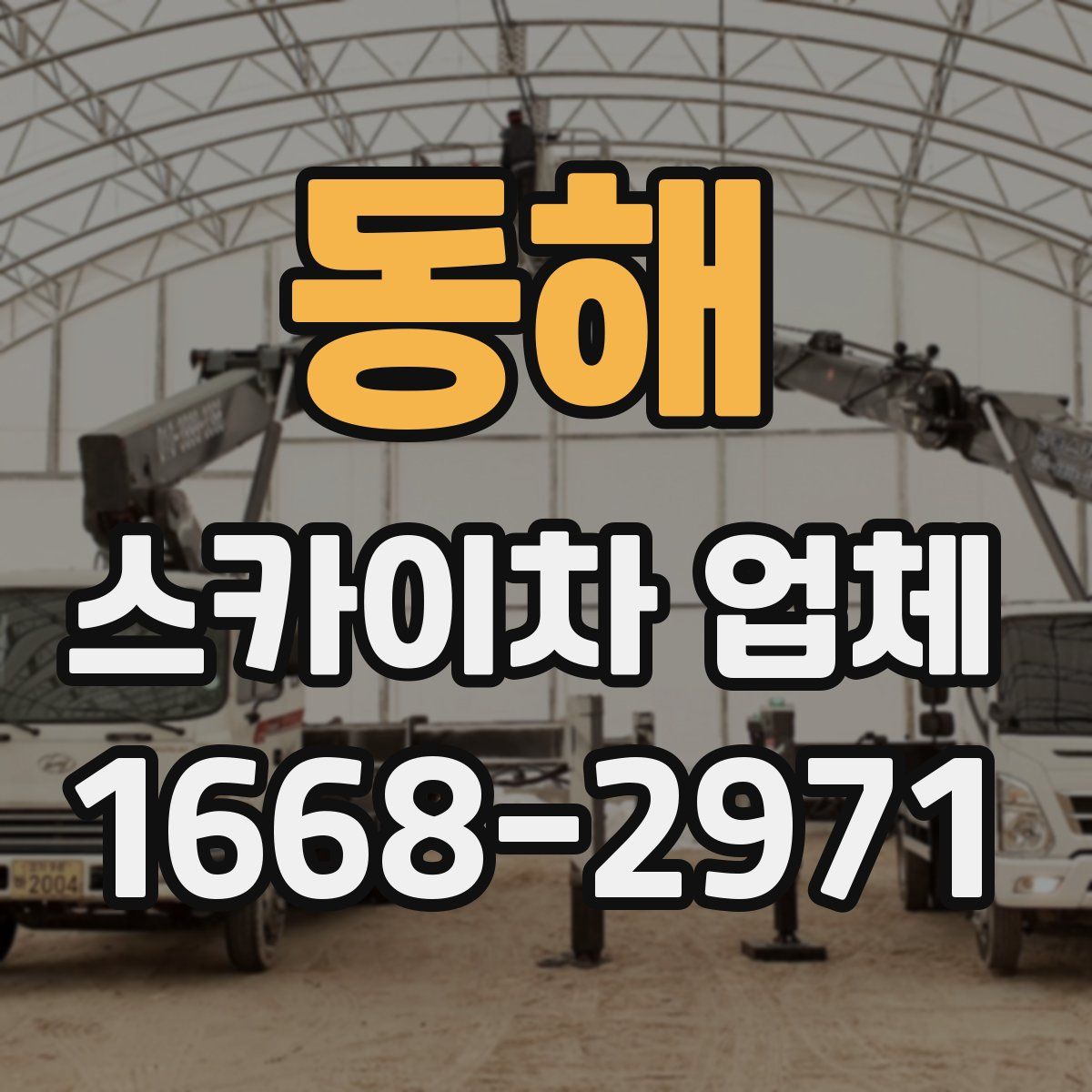 동해 스카이차 업체