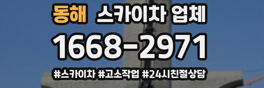 동해 스카이차 업체