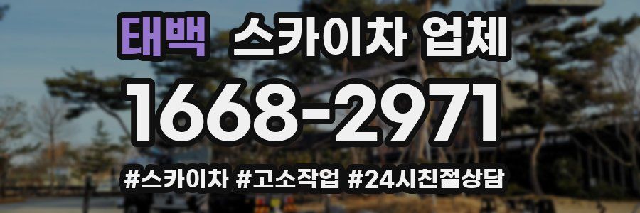 태백 스카이차 업체