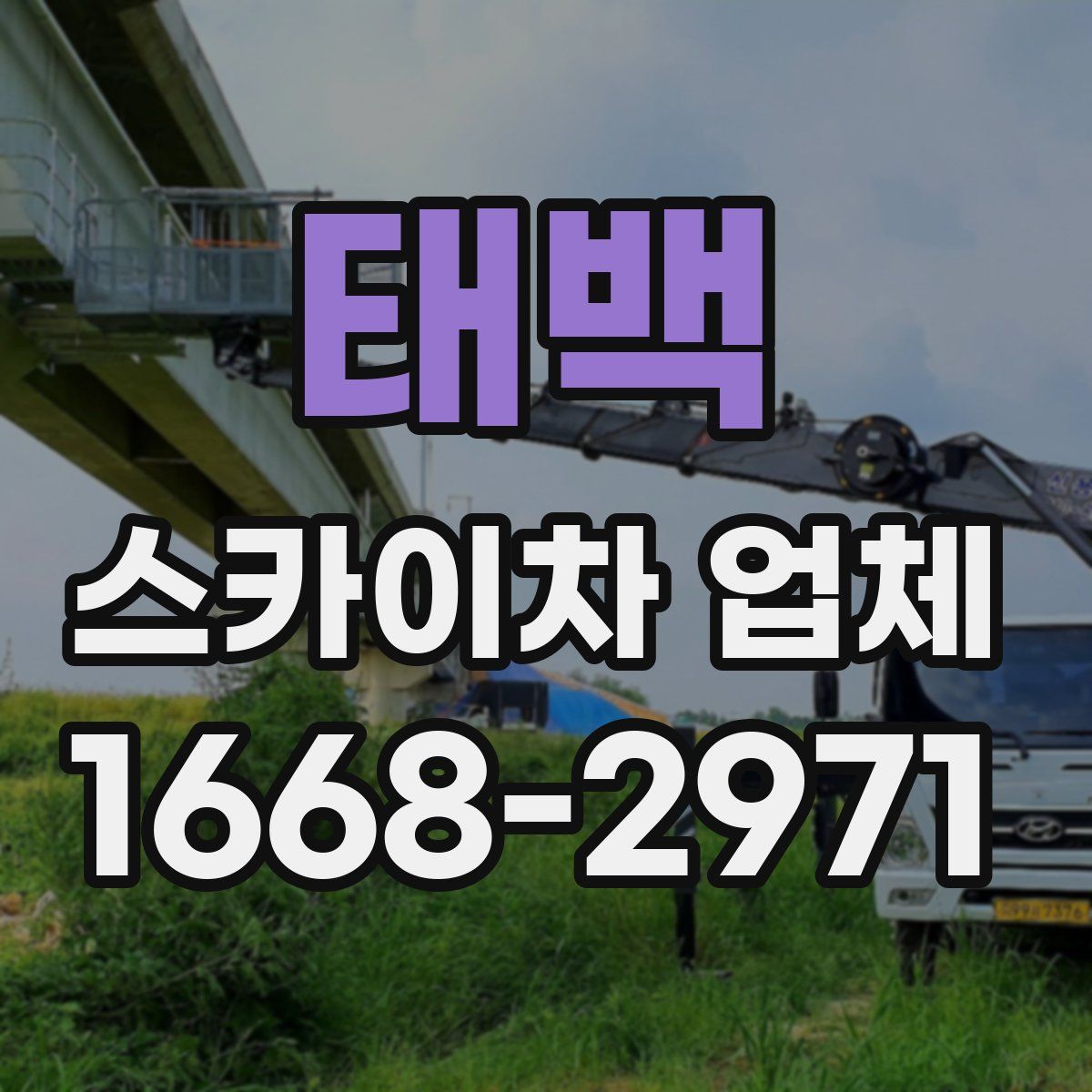 태백 스카이차 업체