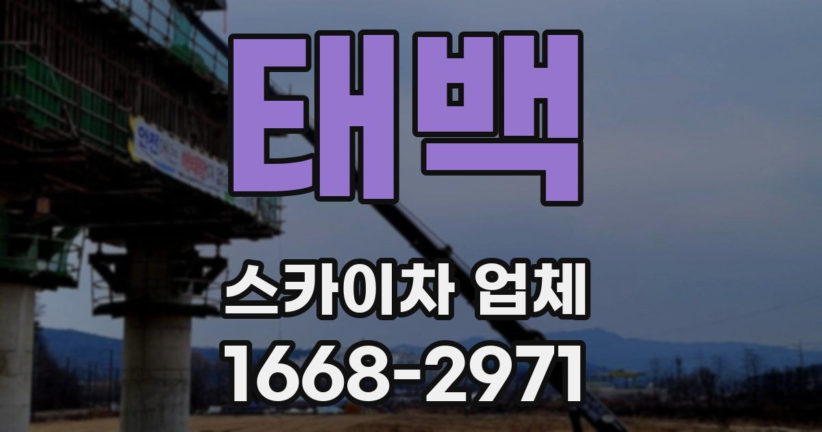 태백 스카이차 업체